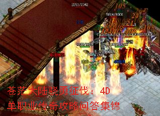 ��ã��½����������4D��ְҵ���湥���ʴ𼯽�