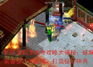 ������ְҵ���湥�Դ���أ��ƽ�װ�����������ܣ����켫Ʒ���