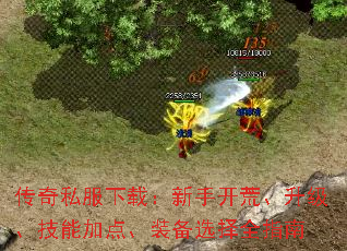 ����˽�����أ����ֿ��ġ����������ܼӵ㡢װ��ѡ��ȫָ��