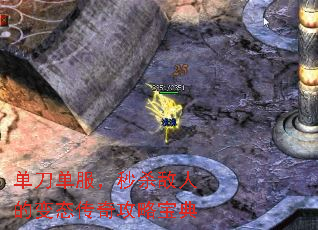 ������������ɱ���˵ı�̬���湥�Ա���