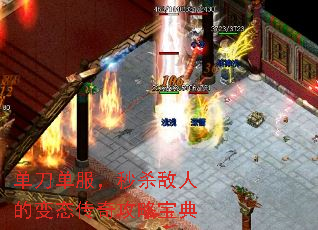 ������������ɱ���˵ı�̬���湥�Ա���