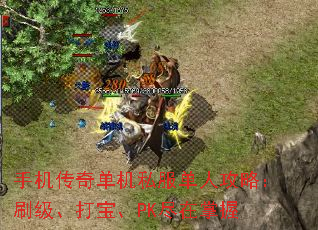 手机传奇单机私服单人攻略:刷级、打宝、PK尽在掌握 手机传奇单机私服单人攻略:刷级、打宝、PK尽在掌握