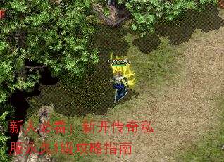 ���˱ؿ����¿�����˽������1������ָ��