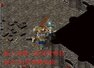 ���˱ؿ����¿�����˽������1������ָ��