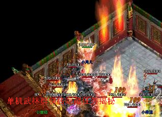 ��������Ⱥ���������������