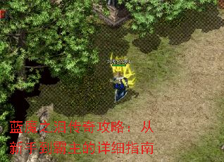 ��ħ֮�ᴫ�湥�ԣ������ֵ���������ϸָ��