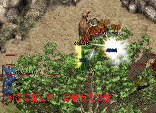 �̿����佭�����ؼ�����������