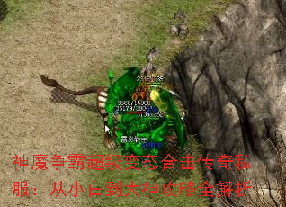 ��ħ���Գ�����̬�ϻ�����˽������С�׵�������ȫ����