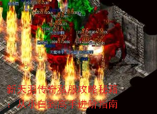 ��������˽�������ؼ�����С�׵����ֽ���ָ��