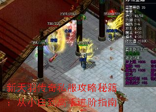 ��������˽�������ؼ�����С�׵����ֽ���ָ��