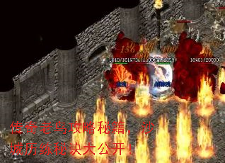 传奇老鸟攻略秘籍,沙城历练秘诀大公开! 传奇老鸟攻略秘籍,沙城历练秘诀大公开!