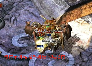 ���浥��˽���ֻ�������ָ��