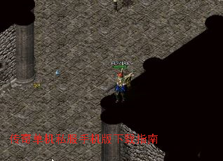 ���浥��˽���ֻ�������ָ��