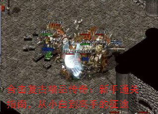 �ϻ����ž�Ʒ���棺����ͨ��ָ�ϣ���С�׵����ֵ���;