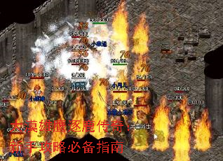 ��Į��ӥ��¹���棺���ֹ��Աر�ָ��