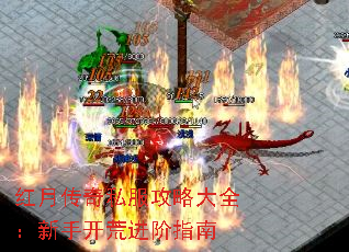 ���´���˽�����Դ�ȫ�����ֿ��Ľ���ָ��