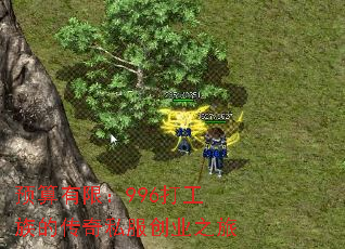 Ԥ�����ޣ�996����Ĵ���˽����ҵ֮��