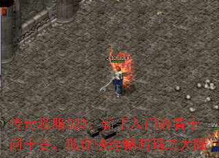 ����˽��020���������űؿ�ʮ��ʮ��������ٳ����귨��½