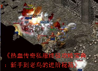 ����Ѫ����˽���ռ����Ա��䣺���ֵ�����Ľ����ؼ���