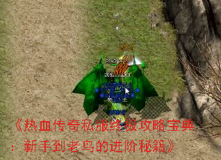 ����Ѫ����˽���ռ����Ա��䣺���ֵ�����Ľ����ؼ���