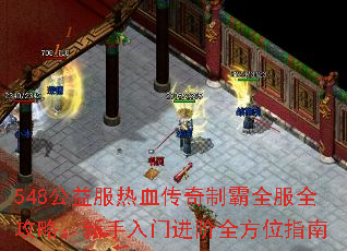 548�������Ѫ�����ư�ȫ��ȫ���ԣ��������Ž���ȫ��λָ��
