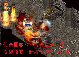 �������7233����������ذ�װ���ԣ��·���������ָ��