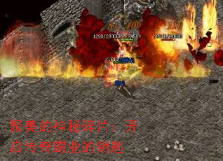 ������������Ƭ�����������ҵ��Կ��