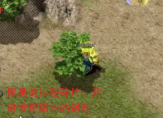 ������������Ƭ�����������ҵ��Կ��