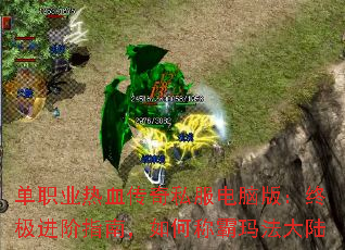 ��ְҵ��Ѫ����˽�����԰棺�ռ�����ָ�ϣ���γư��귨��½