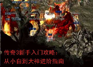 ����3�������Ź��ԣ���С�׵��������ָ��