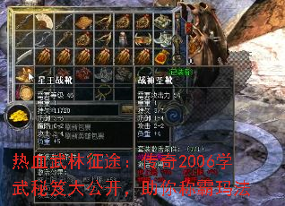 ��Ѫ������;������2006ѧ�����Ŵ󹫿�������ư��귨