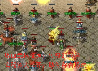 ��Ѫ������;������2006ѧ�����Ŵ󹫿�������ư��귨