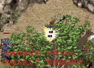 ��Ѫ������;������2006ѧ�����Ŵ󹫿�������ư��귨