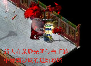 ������ɱ¾�������������гư�ɳ�ǵĽ��׹���