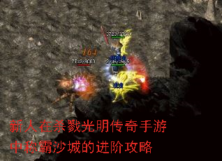 ������ɱ¾�������������гư�ɳ�ǵĽ��׹���