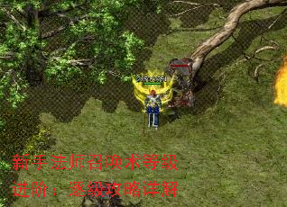 新手法师召唤术等级进阶:逐级攻略详解 新手法师召唤术等级进阶:逐级攻略详解