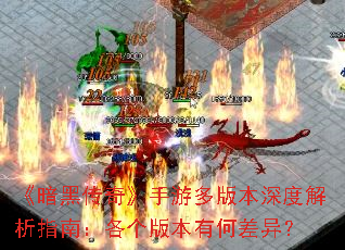 �����ڴ��桷���ζ�汾��Ƚ���ָ�ϣ������汾�кβ��죿