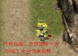 传奇私服:如何实现一天200级?大神快来指教 传奇私服:如何实现一天200级?大神快来指教
