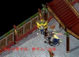 ��Ѫ�������Σ���������ָ��