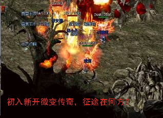 �����¿�΢�䴫�棬��;�ںη���