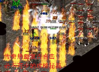 ������Ѫ���źϻ����ز����ٵĹ����ؼ�