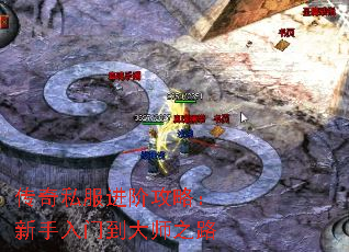 ����˽�����׹��ԣ��������ŵ���ʦ֮·