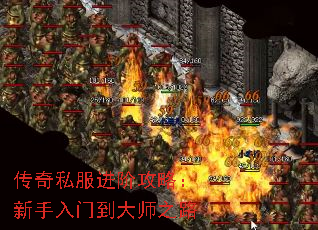 ����˽�����׹��ԣ��������ŵ���ʦ֮·