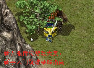 �¿���������Ϸ���ͣ��������������ӽ�ָ��