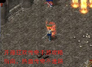 �����񻶴������ι���ָ�ϣ���Ѫ���治��·