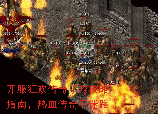 �����񻶴������ι���ָ�ϣ���Ѫ���治��·