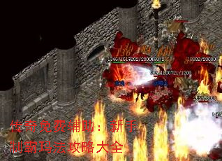 ������Ѹ����������ư��귨���Դ�ȫ