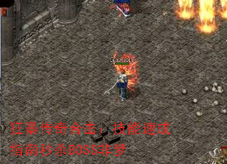 �񱩴���ϻ��������ٳ�ָ����ɱBOSS����