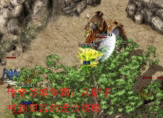 ����ɳ�����ԣ������ִ嵽�ʹ��Ľ��׹���