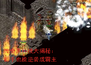 ����ڿƼ�����أ�����Ҳ����Ϯ�ɰ���